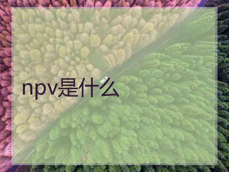 npv是什么