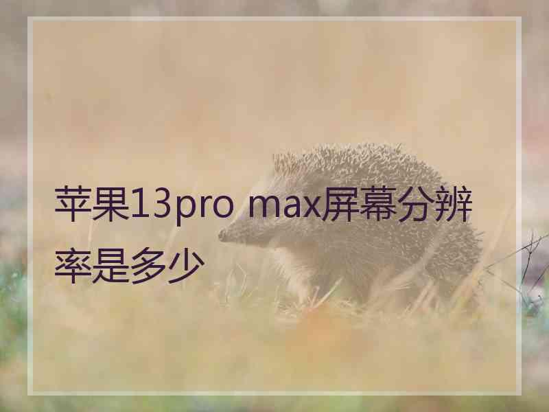 苹果13pro max屏幕分辨率是多少