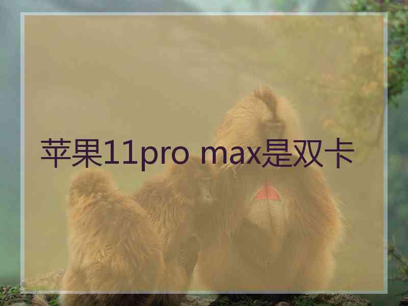 苹果11pro max是双卡