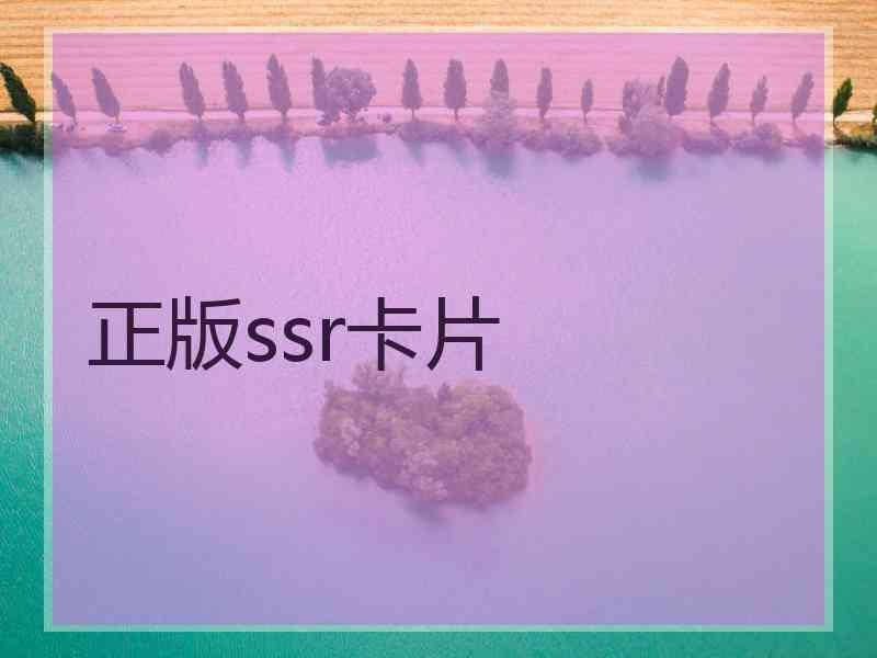 正版ssr卡片