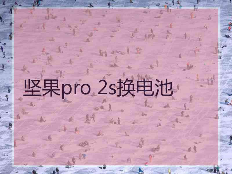 坚果pro 2s换电池