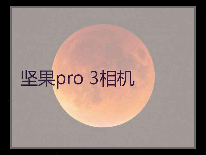 坚果pro 3相机