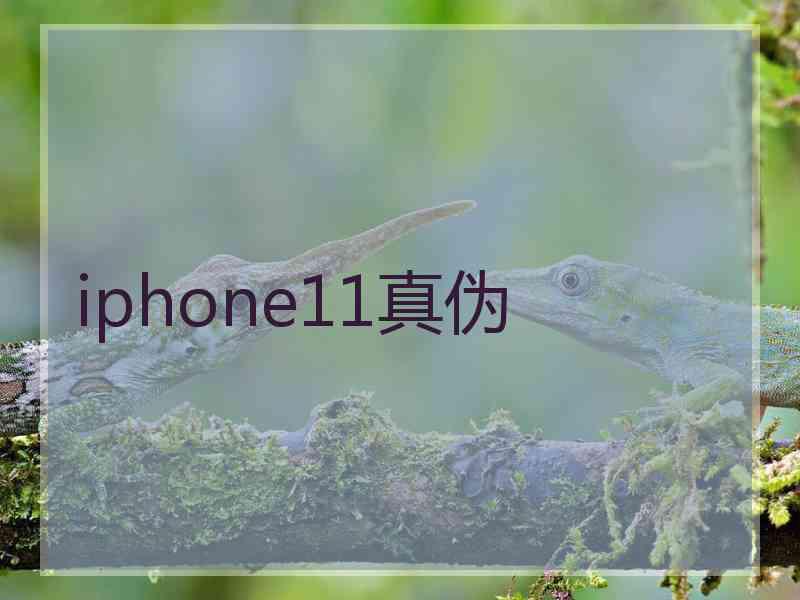 iphone11真伪