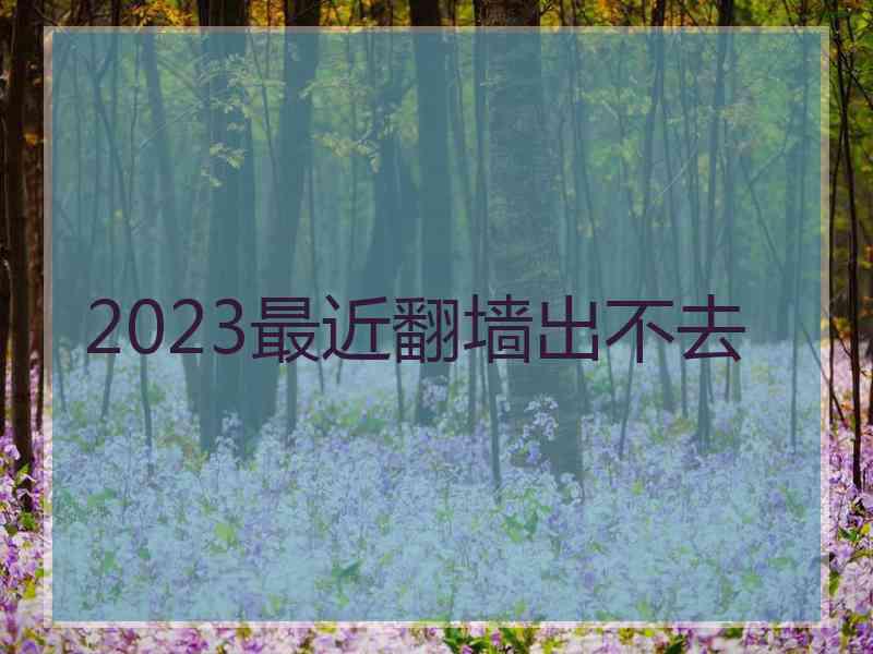 2023最近翻墙出不去