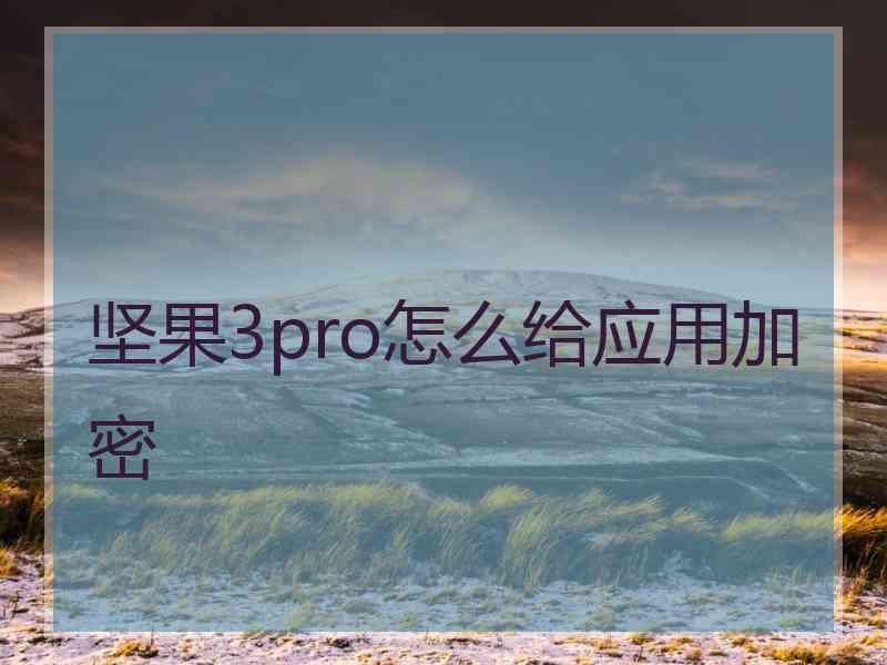 坚果3pro怎么给应用加密