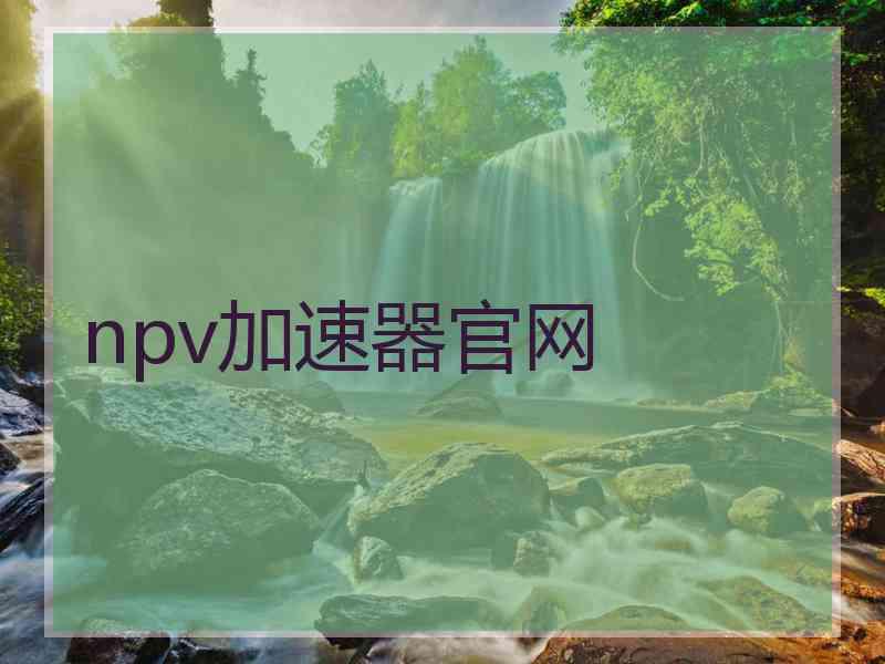 npv加速器官网