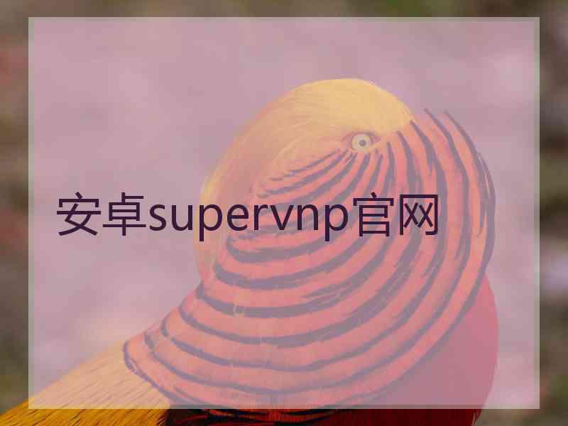 安卓supervnp官网