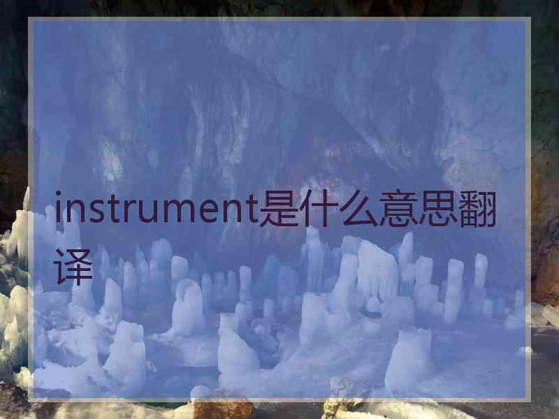 instrument是什么意思翻译