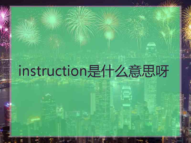 instruction是什么意思呀