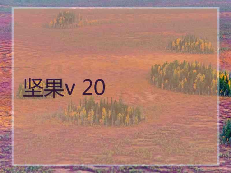 坚果v 20