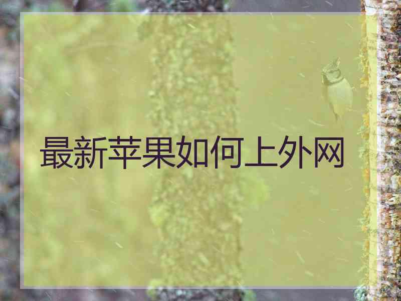 最新苹果如何上外网