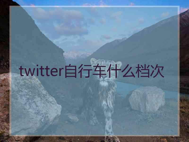 twitter自行车什么档次