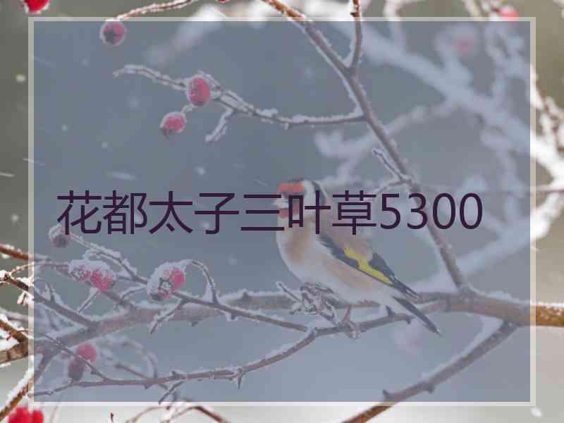 花都太子三叶草5300