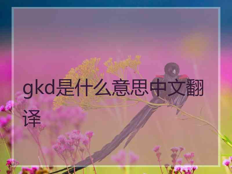 gkd是什么意思中文翻译