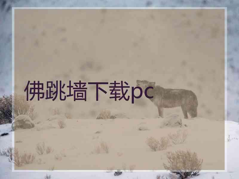 佛跳墙下载pc