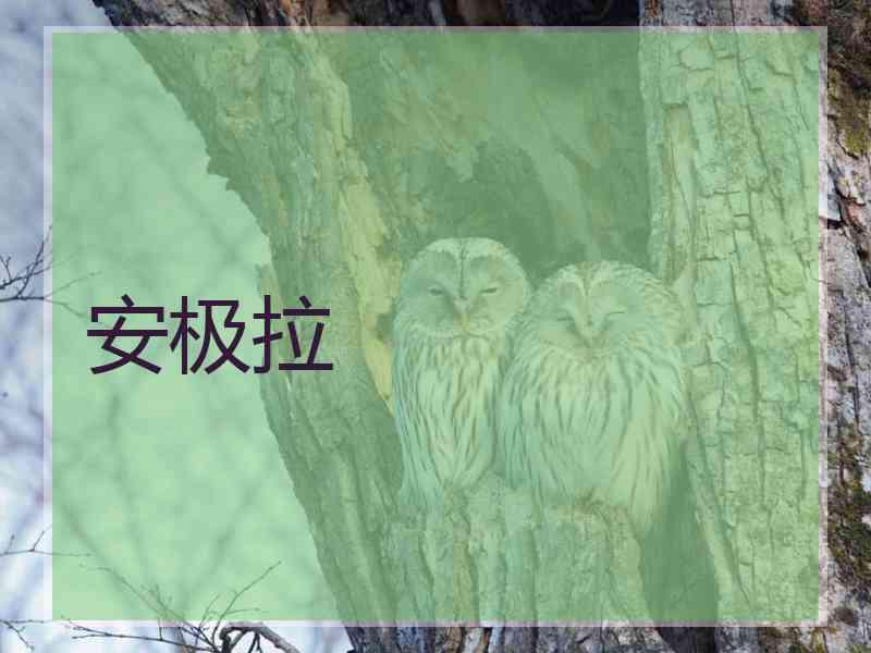 安极拉