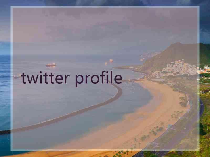 twitter profile