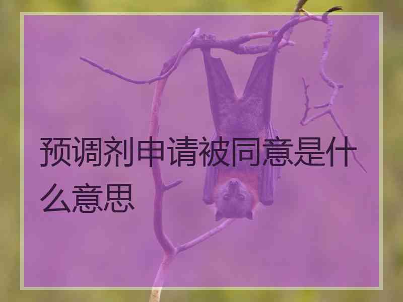 预调剂申请被同意是什么意思