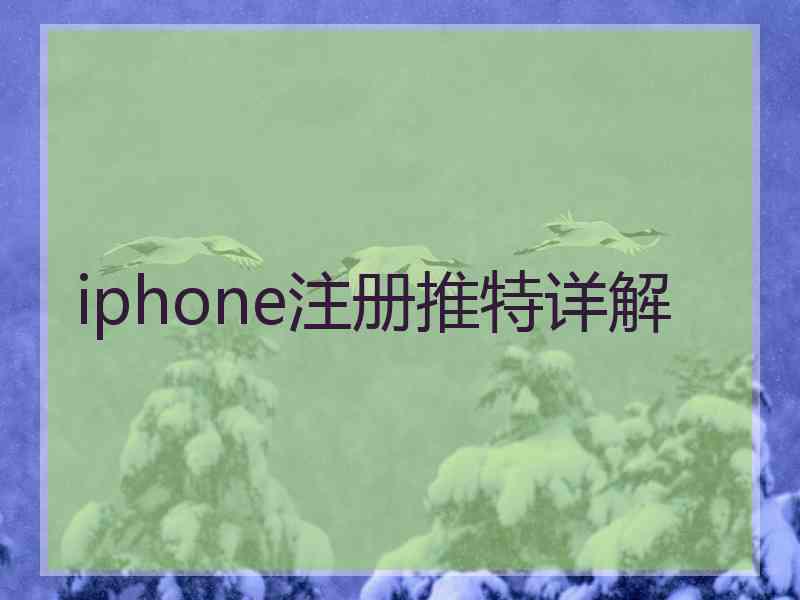 iphone注册推特详解