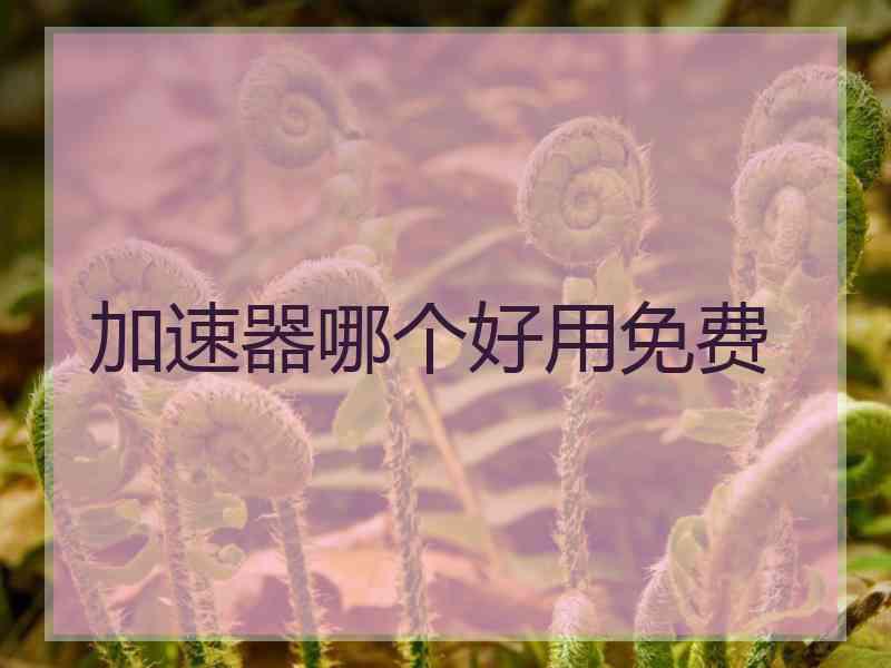 加速器哪个好用免费