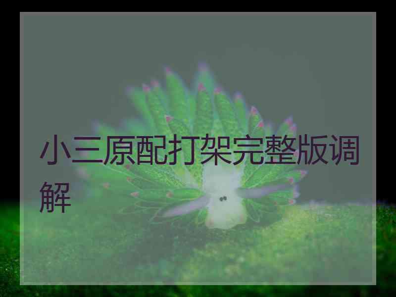 小三原配打架完整版调解