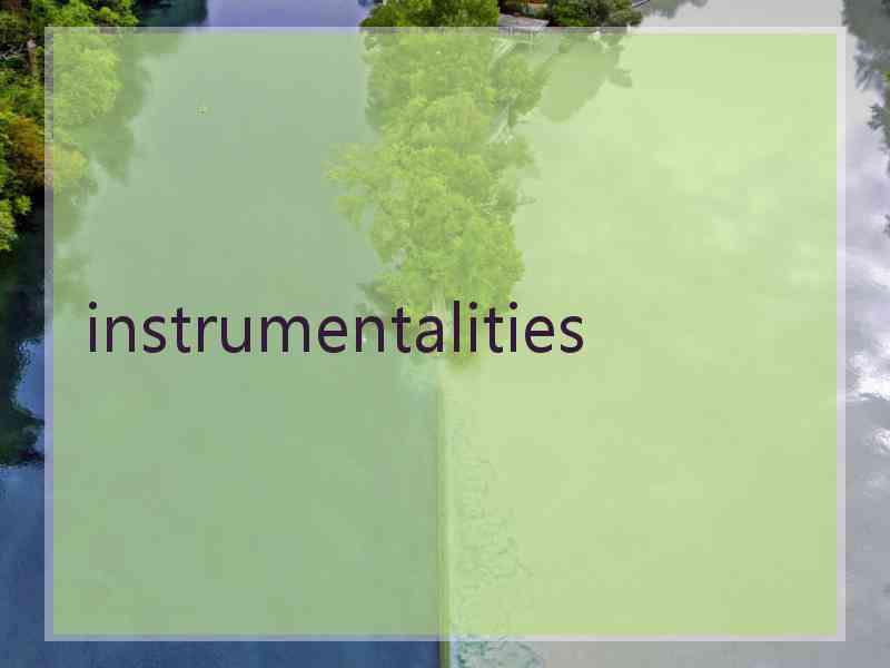 instrumentalities