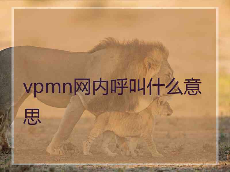 vpmn网内呼叫什么意思