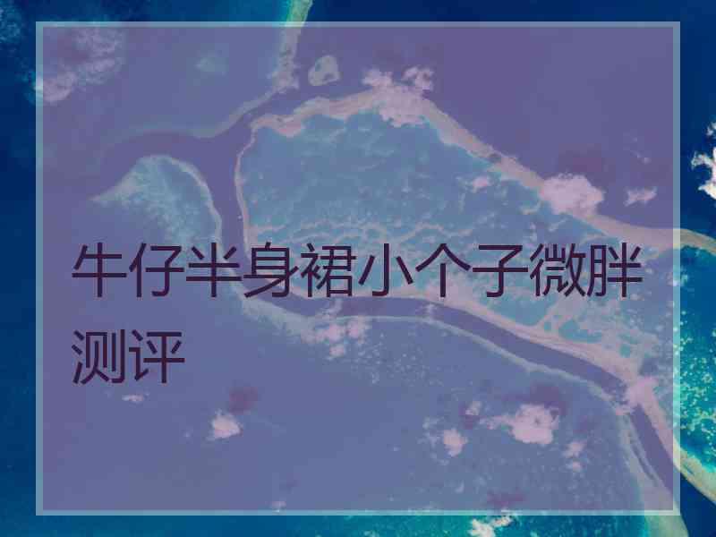 牛仔半身裙小个子微胖测评