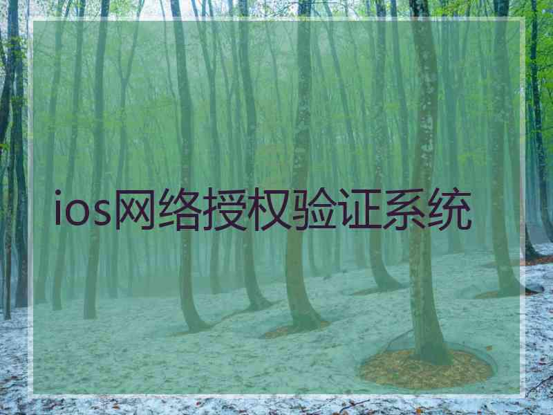 ios网络授权验证系统