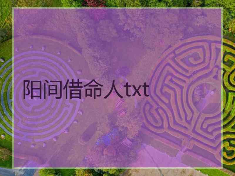 阳间借命人txt