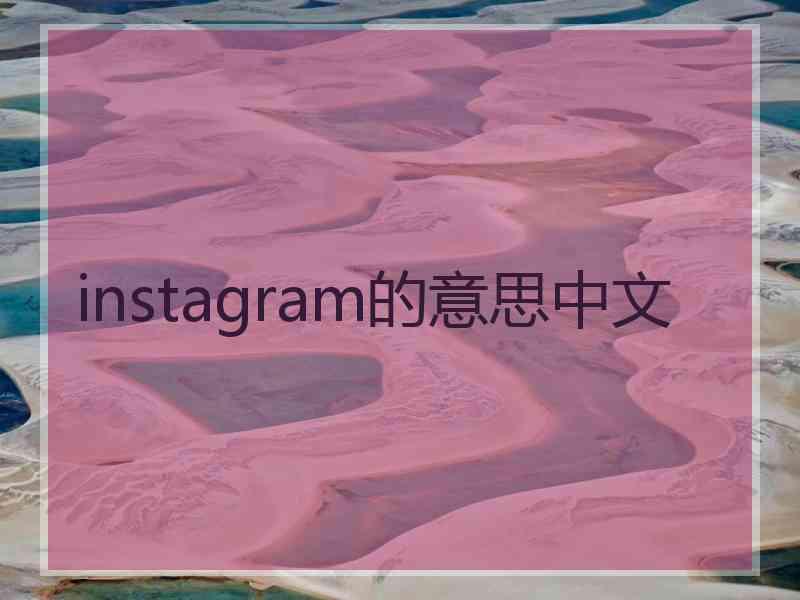 instagram的意思中文