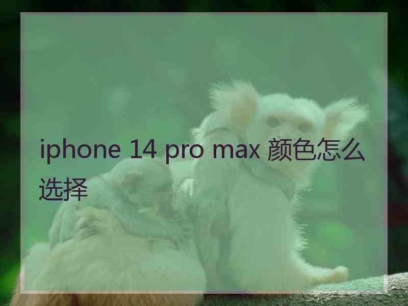 iphone 14 pro max 颜色怎么选择