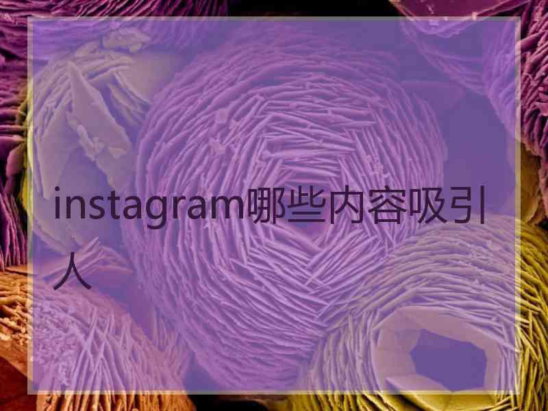 instagram哪些内容吸引人