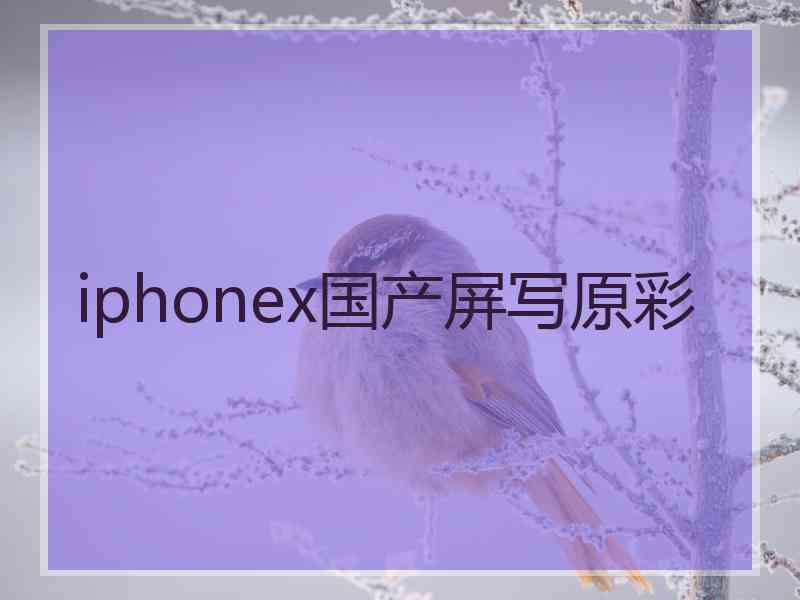 iphonex国产屏写原彩