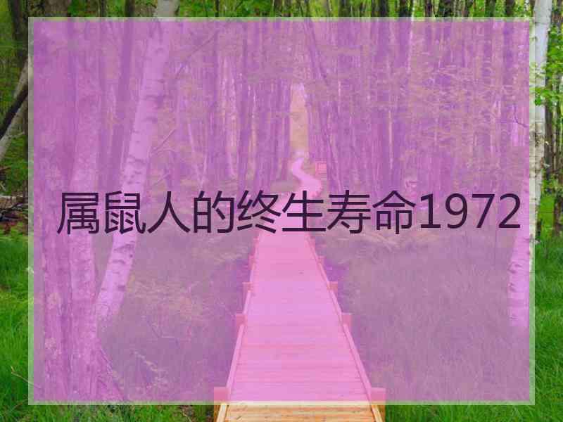 属鼠人的终生寿命1972