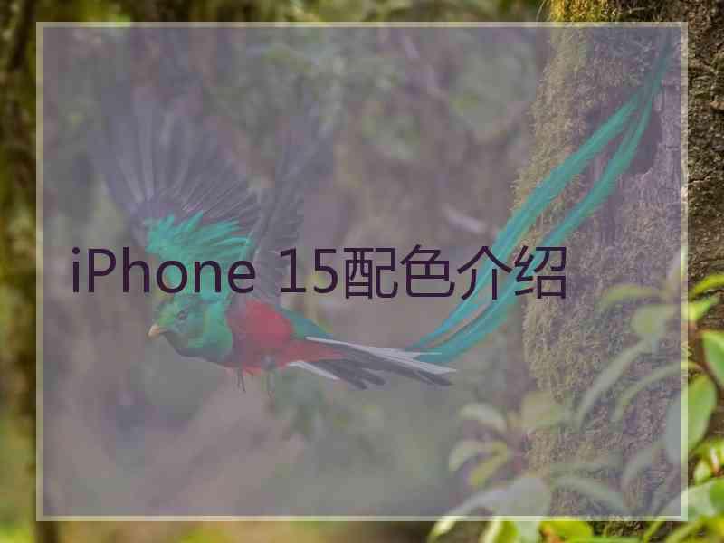 iPhone 15配色介绍