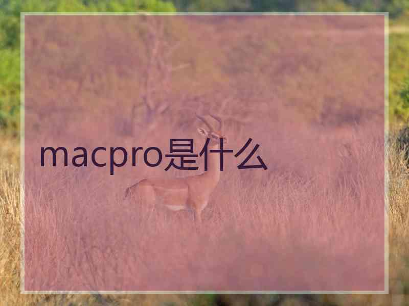 macpro是什么