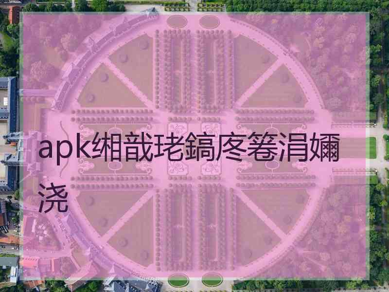 apk缃戠珯鎬庝箞涓嬭浇