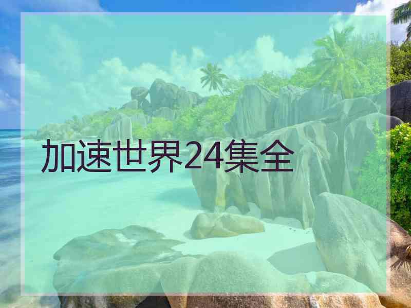 加速世界24集全