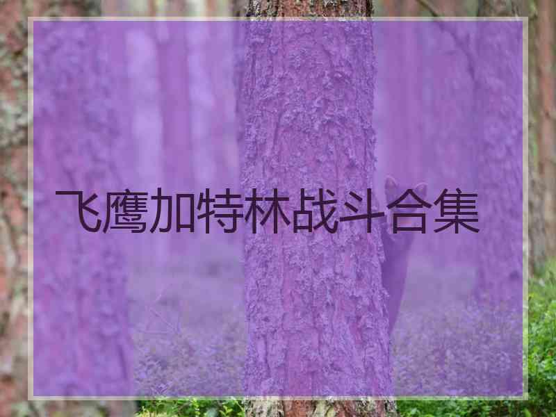 飞鹰加特林战斗合集