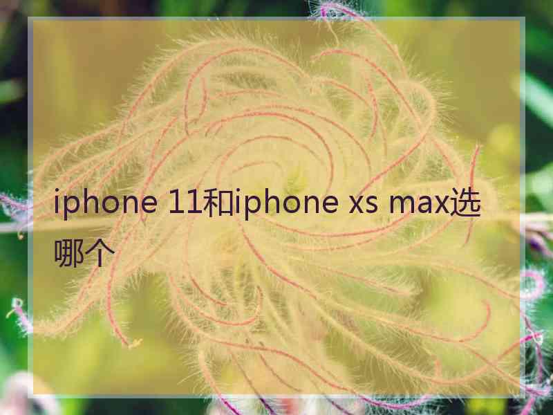 iphone 11和iphone xs max选哪个