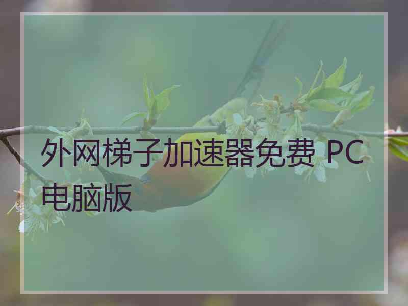 外网梯子加速器免费 PC电脑版