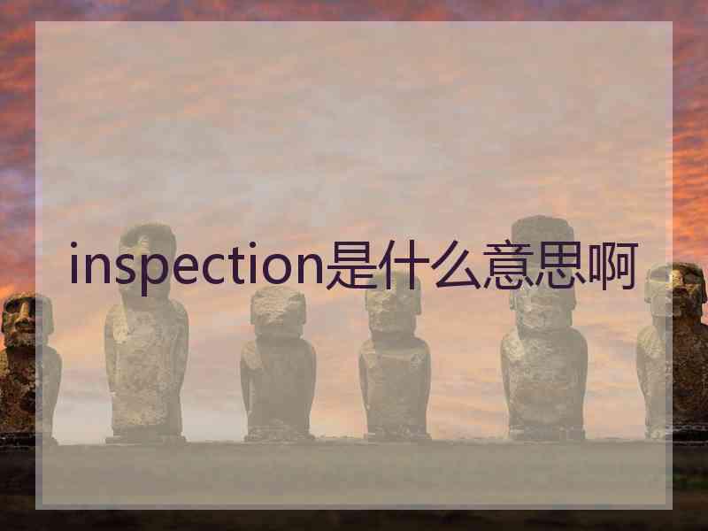 inspection是什么意思啊