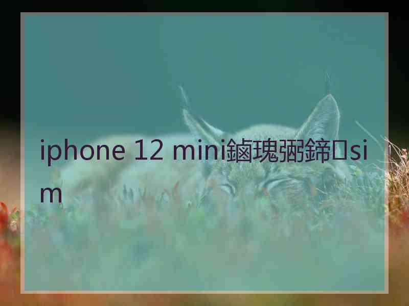 iphone 12 mini鏀瑰弻鍗sim