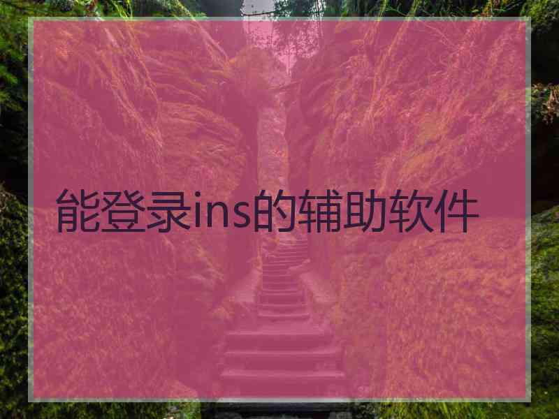 能登录ins的辅助软件