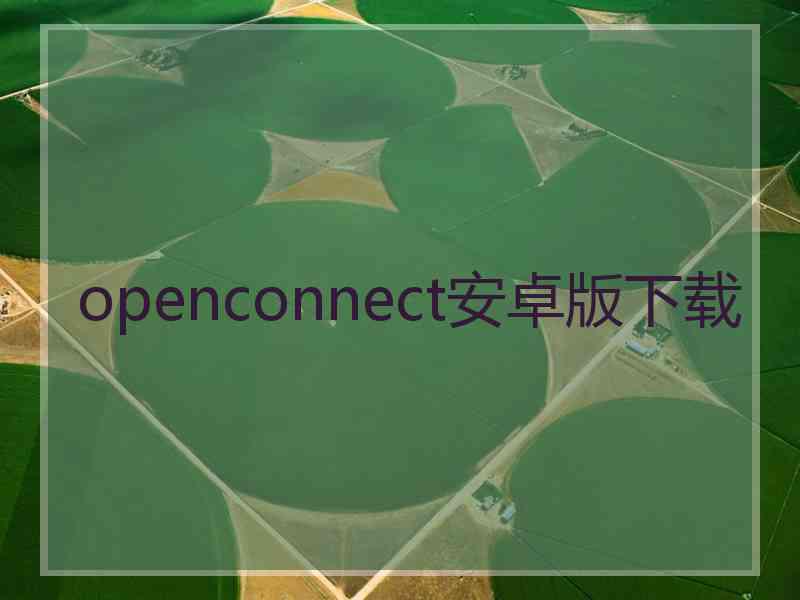 openconnect安卓版下载