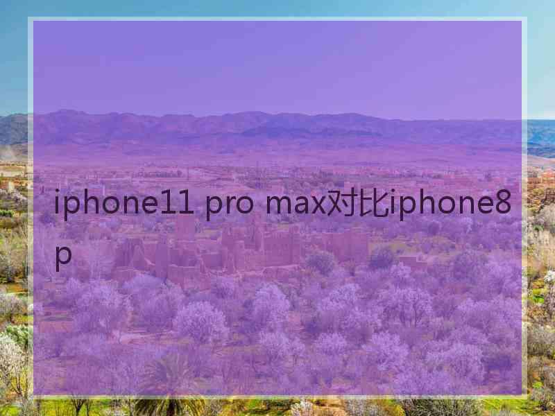 iphone11 pro max对比iphone8p