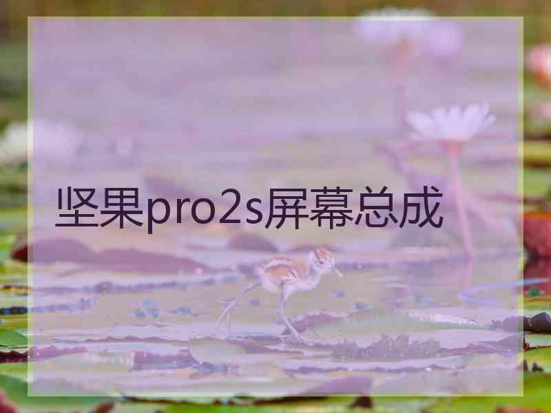 坚果pro2s屏幕总成