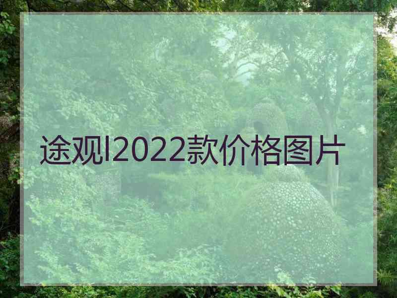 途观l2022款价格图片