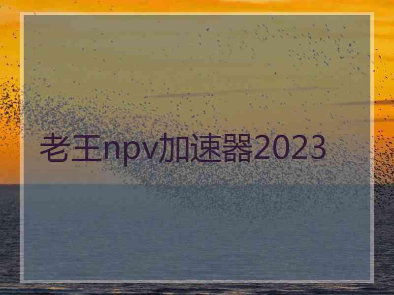 老王npv加速器2023